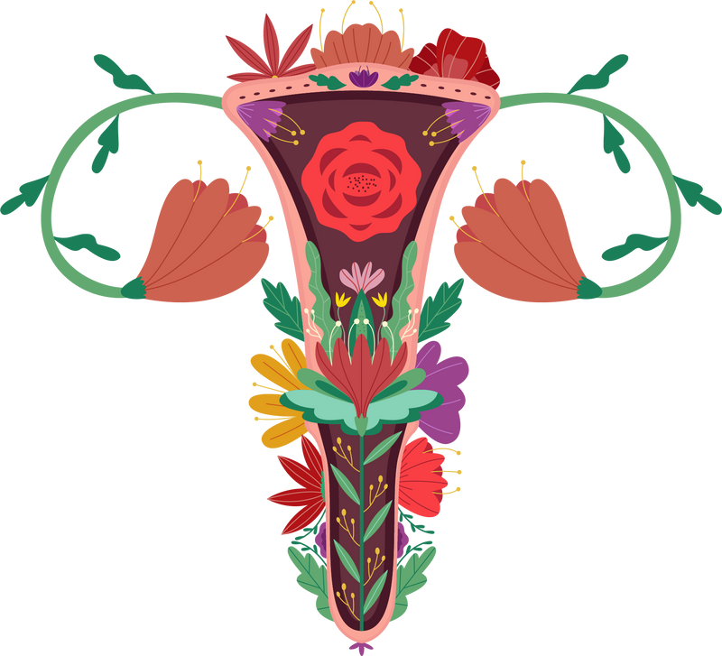 Female Reproductive System with flowers Clipart