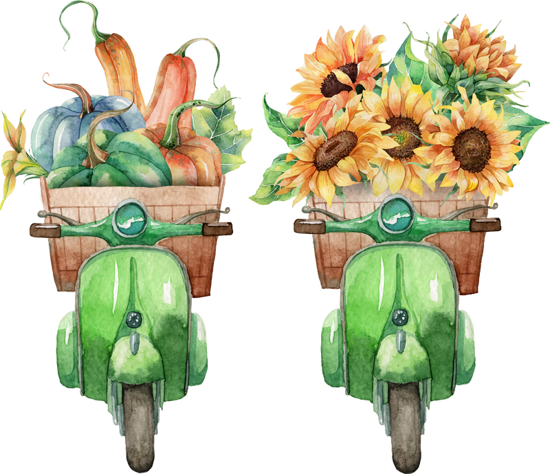 Flowers and Pumpkins in Green Scooter PNG Clipart